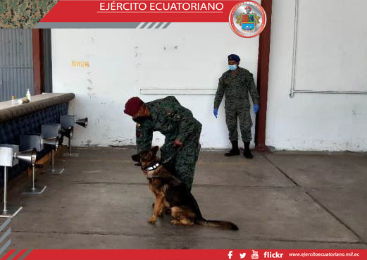 Militares participan en el I Curso de Detección de COVID