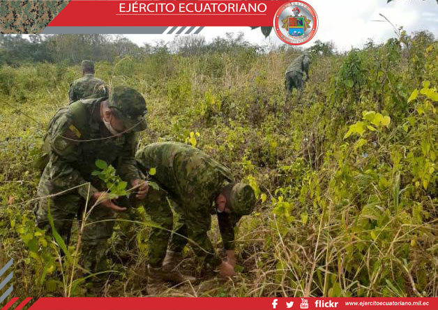 Brigada El Oro participa en campaña de forestación en Arenillas