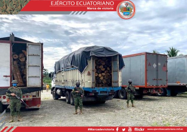 Militares de la Brigada Napo incautaron madera extraída de forma ilegal