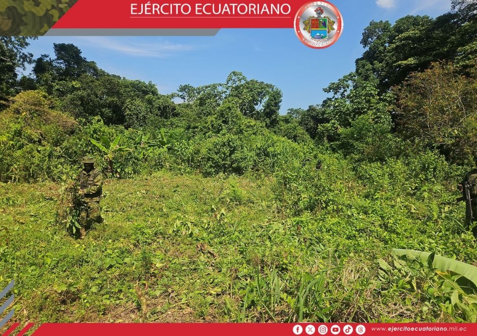 Militares destruyen plantación de coca en Sucumbíos