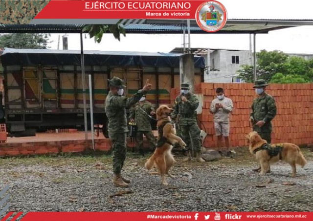 Los emotivos reconocimientos en medio de la pandemia
