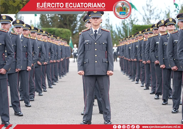 Galería 1