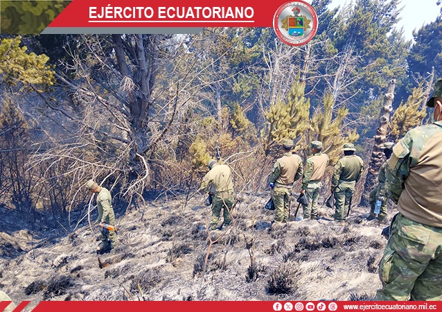Galería 3