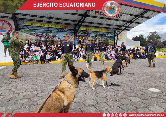 Galería 3