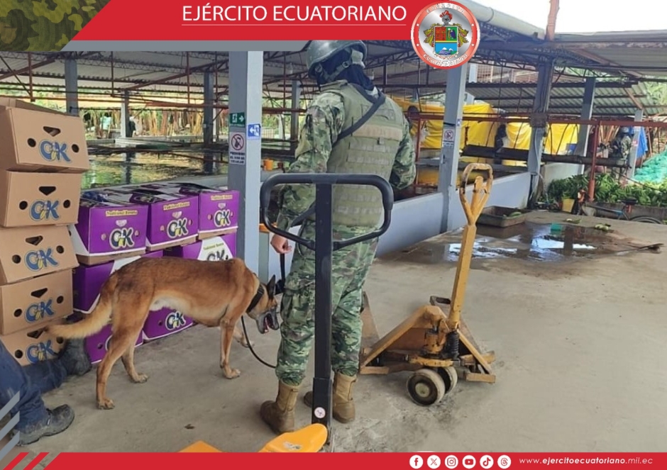 Efectivos militares fortalecen las operaciones militares con canes en Naranjal