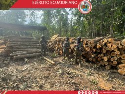 Madera sin documentación fue decomisada durante operaciones militares en Los Ríos 