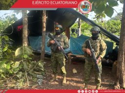 Madera sin documentación fue decomisada durante operaciones militares en Los Ríos 