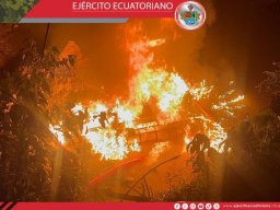 Operación militar contra la minería ilegal en Napo deja aprehendidos, maquinaria destruida y vehículos decomisados 